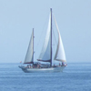 Creoula
