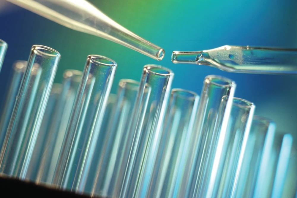 Prácticas Erasmus+ en Proyecto de Investigación en Bélgica