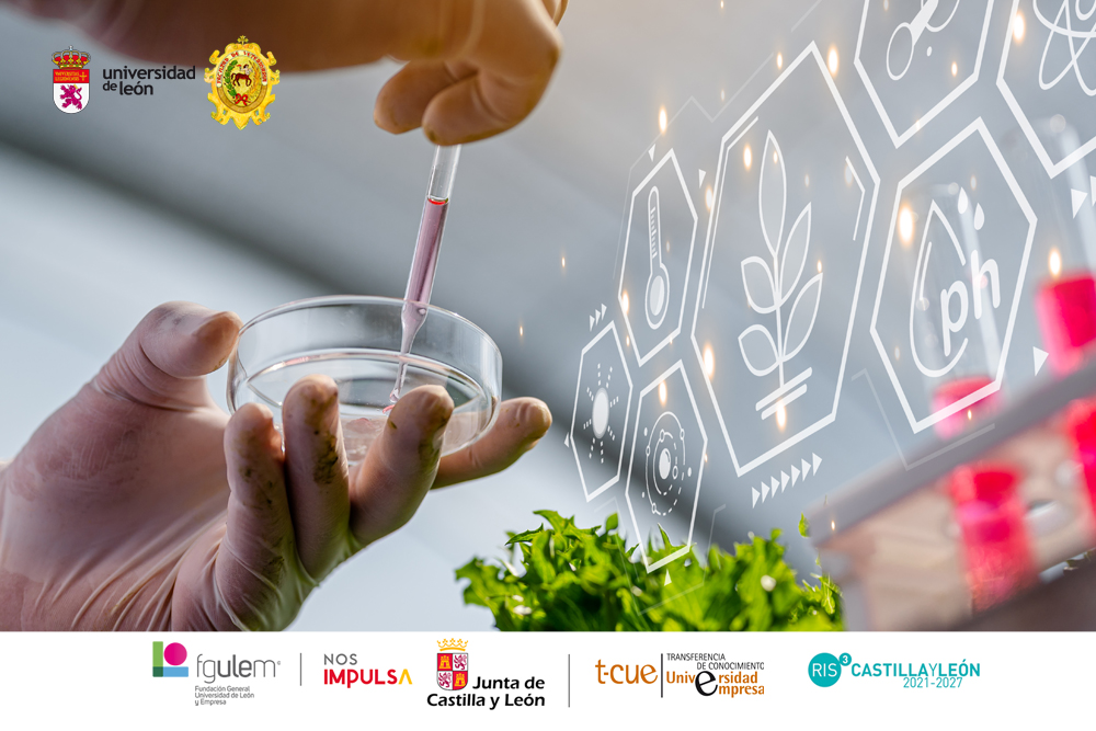 III Jornada de Egresados del Grado en Ciencia y Tecnología de los Alimentos: Investigación, Industria y Emprendimiento en el Sector Agroalimentario