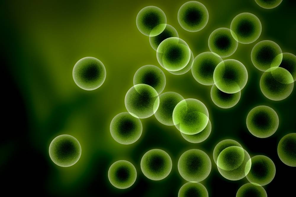 Grado en  Biología, Biotecnología, Veterinaria, Microbiología o Farmacia