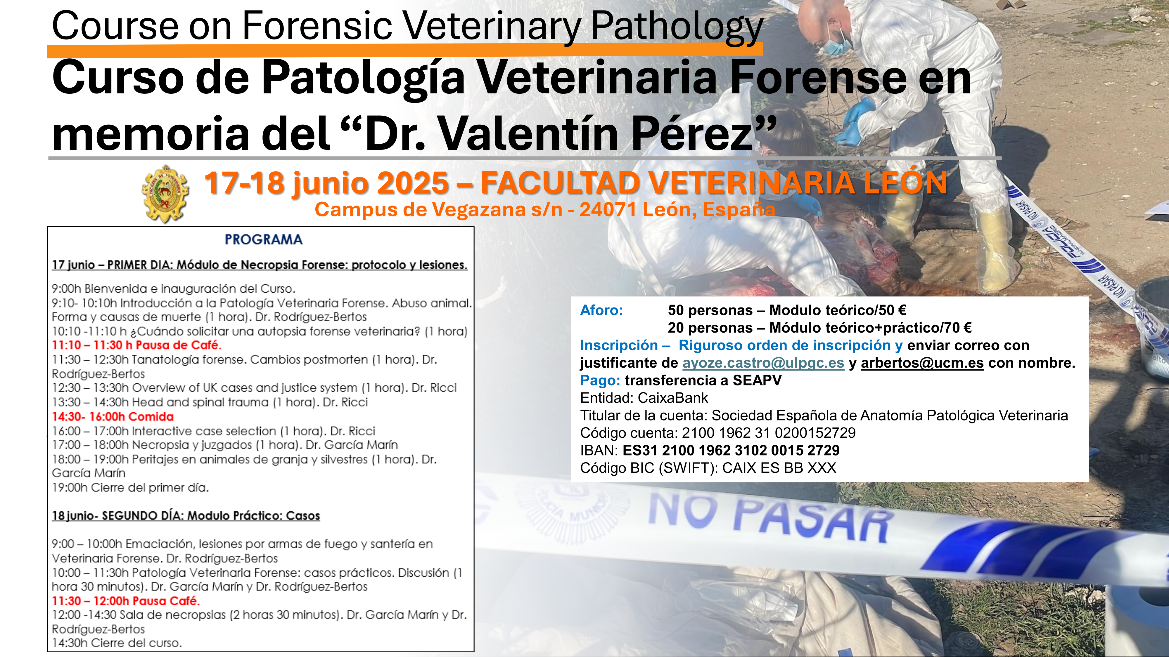 Programa